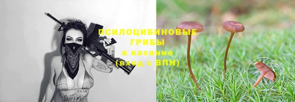 крисы Балахна