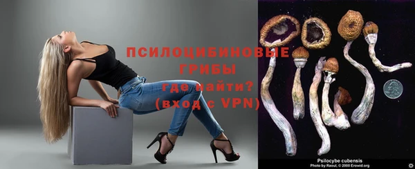 крисы Балахна