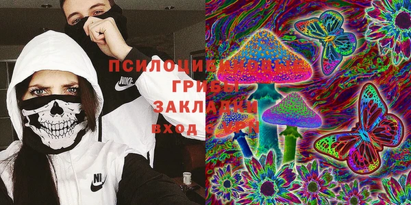 PSILOCYBIN Балабаново