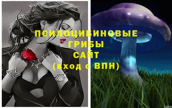 крисы Балахна