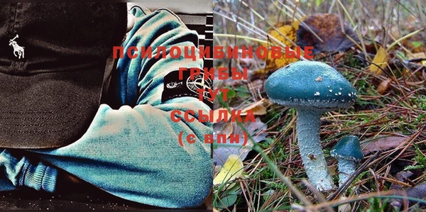 крисы Балахна