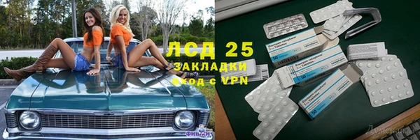 PSILOCYBIN Балабаново