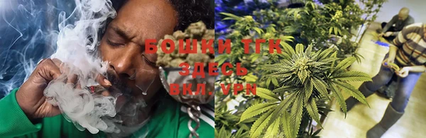 PSILOCYBIN Балабаново