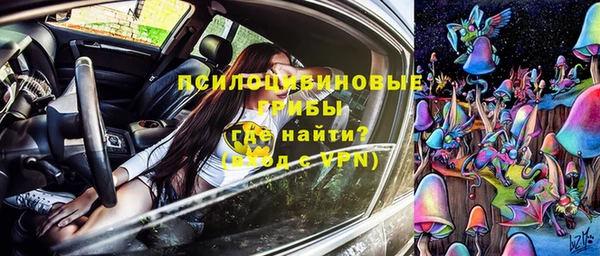 PSILOCYBIN Балабаново