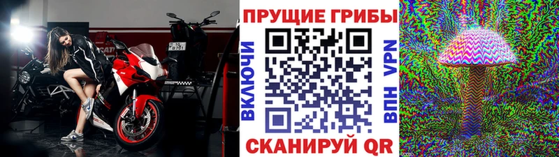 Галлюциногенные грибы мухоморы  маркетплейс формула  Губаха 